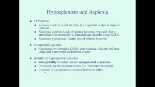 Hyposplenia and Asplenia  CRASH Medical Review Series [upl. by Ahsennek903]