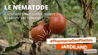 Lutter contre les nématodes  Pharmacie des plantes [upl. by Aundrea86]