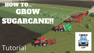 How to Grow Sugarcane in Farming Simulator 19 [upl. by Karole]