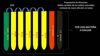 Clase de CMI y CMB [upl. by Maxantia]