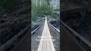 Kootenai Falls Suspension Bridge [upl. by Essilec]