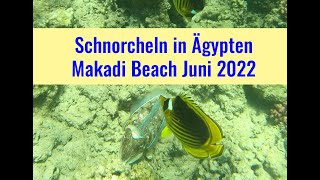 Schnorcheln Ägypten Makadi Bay Hausriff 2022 4K [upl. by Eve]