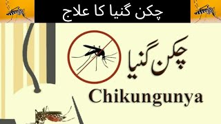 Chikungunya Treatment At Home  Chickungunya  Fever And Joint Pain  Chickungunya Virus [upl. by Shanley590]