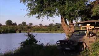 Ghoha Hills Savuti Lodge in the Chobe National Park [upl. by Kehr673]