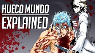 SECRETS OF HUECO MUNDO EXPLAINED  HOME OF HOLLOWS  BLEACH Breakdown [upl. by Iline]