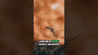 The Worlds Deadliest Creature The Truth About Mosquitoes 🦟 [upl. by Enalahs442]