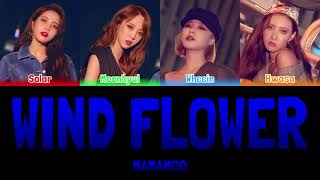 MAMAMOO  WIND FLOWER Colour Coded Lyrics HanRomEng [upl. by Swain]