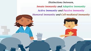 Differences between types of Immunity [upl. by Fons]