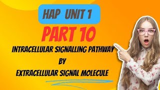 Intracellular signalling pathway activation by extracellular signal molecule Part 10 [upl. by Anyrak]