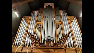 1965 Schlicker organ  Mount Olive Lutheran Church Minneapolis Minnesota [upl. by Adaliah962]