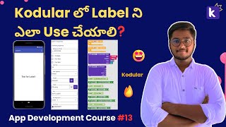 How to Use Label in Kodular amp Use Label in App making in Telugu Kodular Tutorial kodular appmaking [upl. by Ayikal14]