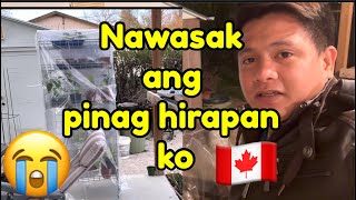 Nawasak ang pinag hirapan ko  Arpee Tv  dauphin manitoba Canada  pinoy in Canada ofw in Canada [upl. by Lonny]