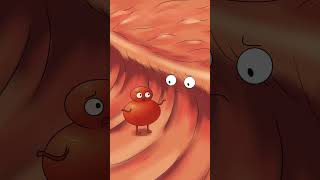 nosebleed536animation funny cartoon [upl. by Ttelrahc]