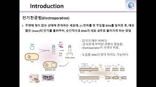 형질전환 [upl. by Elston79]