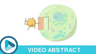 β1Integrin The sneaky coconspirator to reovirus entry into host cells [upl. by Bethanne438]