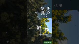 snapchat story idea naturephotography love nature song chuttamalli trendingshort [upl. by Hamid]