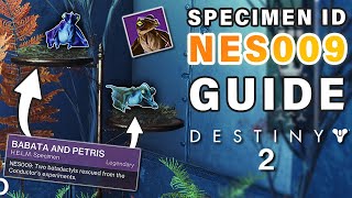 How to Complete Failsafe SPECIMEN ID NES009 Complete Guide  FAST amp EASY ► Destiny 2 [upl. by Cello]