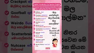 මල හෝන්තුව මල විගඩම කියන හැටි  10 Common Terms for Someone Acting Silly or Foolish shorts [upl. by Nerok]