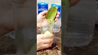 BEST amp EASY WAY TO PEEL AVOCADO fruit shorts trending  Novo Vizcayano Channel [upl. by Nylekcaj]