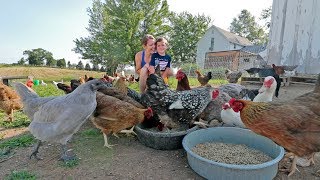 What it’s like to live with 85 chickens [upl. by Toms]