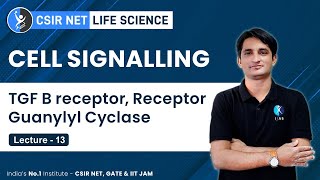 Tgf B Receptor Receptor Guanylyl Cyclase Cell Signalling For CSIR NET GATE [upl. by Pamela]