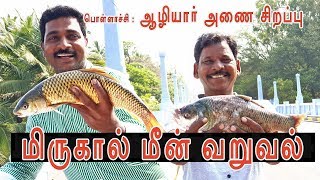 AZHIYAR DAM SPECIAL  MIRUGAAL MEEN VARUVAL  TRAVEL amp COOKING [upl. by Kellsie]