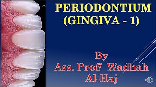 2 Periodontium 1 Gingiva 1  Dr Wadhah Periodontology lectures د وضاح الحاج [upl. by Anyd]