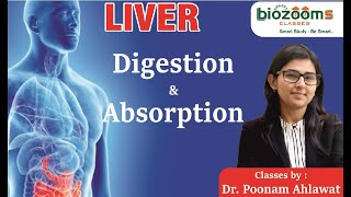 NEET TARGET I LIVER DIGESTION AND ABSORPTION I Dr Poonam Ahlawat [upl. by Arbuckle]