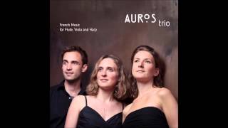 Auros Trio plays Jean  Marie Leclair Sonata d  major op 2  8 Allegro assai [upl. by Arlena152]