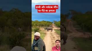 Gende ka tourist Jeep aur hathi per hamla elephant wildlife shorts trending [upl. by Eisteb]