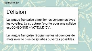 Prononciation l’élision [upl. by Yorgen]