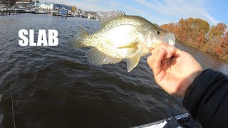 Crappie Fall Fishing Days On The Occoquan River [upl. by Melantha103]