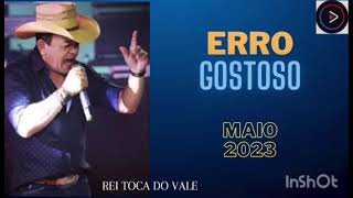 Toca do Vale  Erro gostoso Música Nova [upl. by Hamaso]