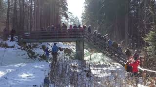 Historisches Bobrennen am Rießersee 2023 [upl. by Otes]