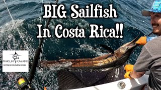 Catching Sailfish In Costa Rica [upl. by Darrill]