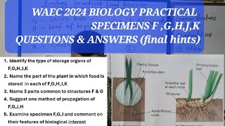 WAEC 2024 BIOLOGY PRACTICAL  SPECIMENS FGHJK  QUESTIONS amp ANSWERS [upl. by Wiburg]