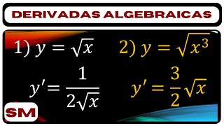 Deriavdas Algebraicas  17 [upl. by Toogood]