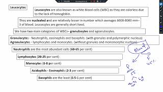 chapter  15  body fluids and circulation  NEET 2025 NCERT based [upl. by Rudolf]