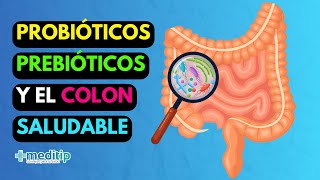 Revive tu Intestino y Recupera tu Vida con Probióticos y Prebióticos [upl. by Lekram]