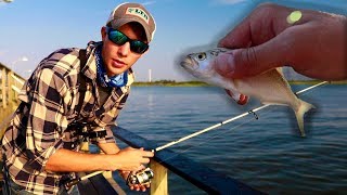 PIER FISHING for Snapper Blues in Mid  Summer South Shore Long Island [upl. by Aihsotan490]