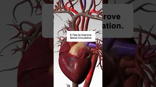 6 Tips to Improve Blood Circulation  Heart Health [upl. by Ameh]