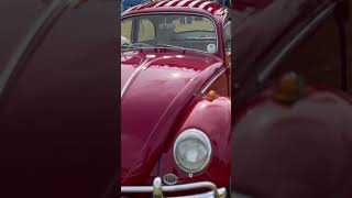 Classic VW Beetles  the Fab Four dji travel vw festival vw classiccars volksfest2024 [upl. by Abdul]