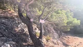 Nugal beach Croatia makarska [upl. by Harned]