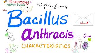 Bacillus anthracis characteristics  Microbiology 🧫 amp Infectious Diseases 🦠 [upl. by Jenny357]