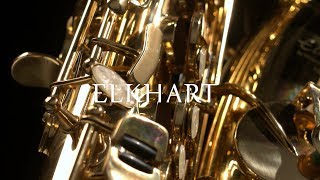 Elkhart 100AS Student Alto Saxophone  Gear4music demo [upl. by Novaelc]