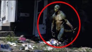 TOP 10 REPTILIANS CAUGHT ON CAMERA amp SPOTTED IN REAL LIFE [upl. by Ahsyt10]