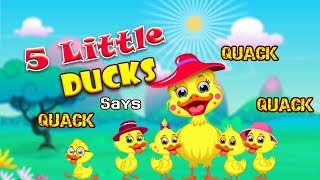 Five Little Ducks Say Quack Quack  Simple Nursery Rhymes  Baby Hazel Nursery Rhymes [upl. by Aitnis]