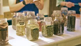 Tea Blending amp Tasting Workshop Experiences [upl. by Marnia]