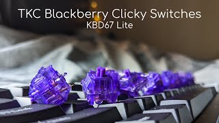 TKC Blackberry Clicky Switches  KBD67 Lite [upl. by Livy]