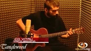 TANGLEWOOD TW 45 B HERITAGE DEMO BY MARCO VITALI [upl. by Marrin]